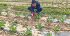 【市城市燃熱集團(tuán)富泰熱力】班定營供暖分公司黨建引領(lǐng)場站建設(shè)結(jié)碩果